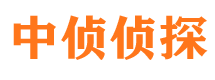 栖霞市侦探